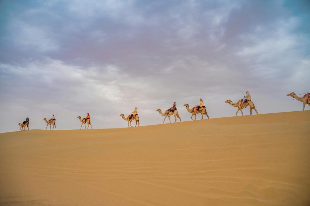 A scenic camel caravan traverses the vast Dubai desert under a cloudy sky. Perfect for travel and nature imagery.